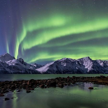 Lyngenfjord,Odins Hus Leilighet Olderdalen Eksteriør bilde