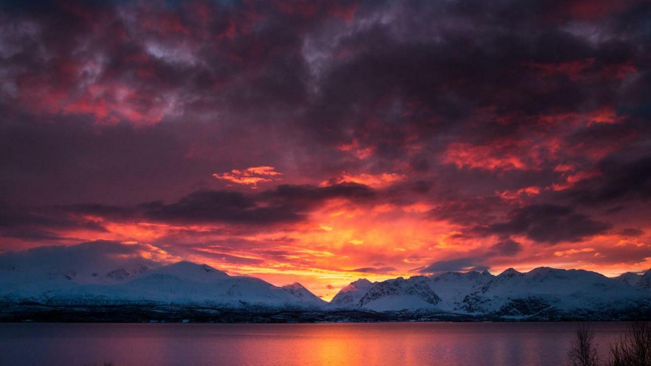 Lyngenfjord,Odins Hus Leilighet Olderdalen Eksteriør bilde