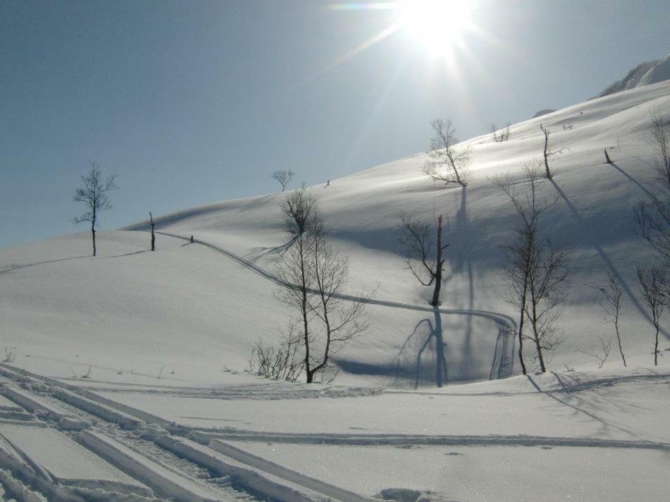 Lyngenfjord,Odins Hus Leilighet Olderdalen Eksteriør bilde