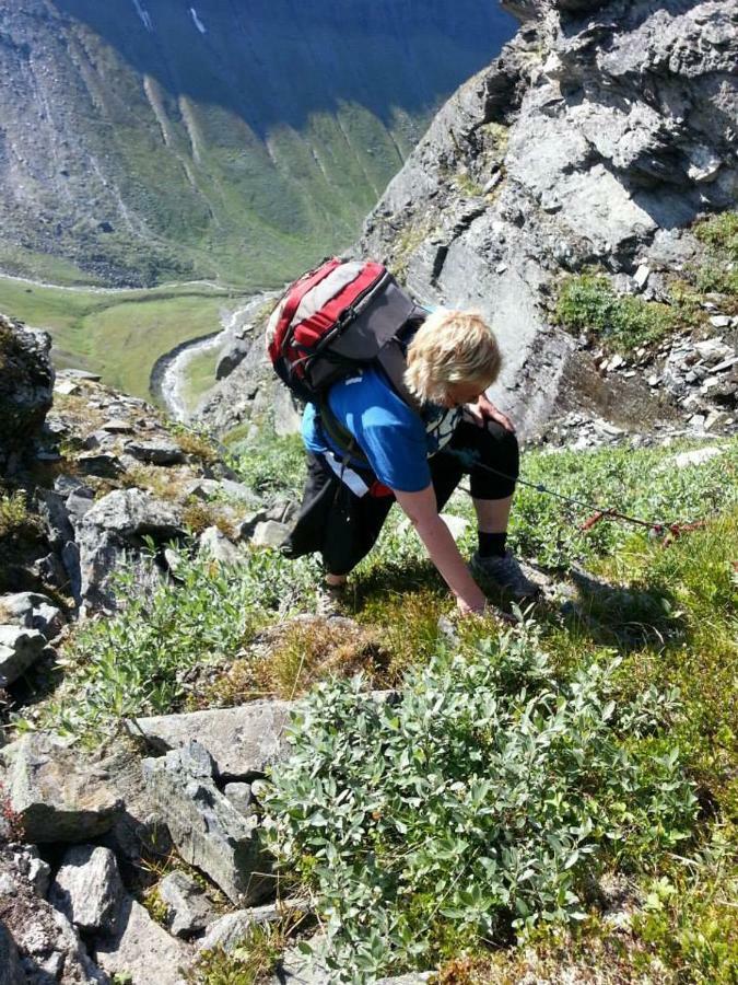 Lyngenfjord,Odins Hus Leilighet Olderdalen Eksteriør bilde