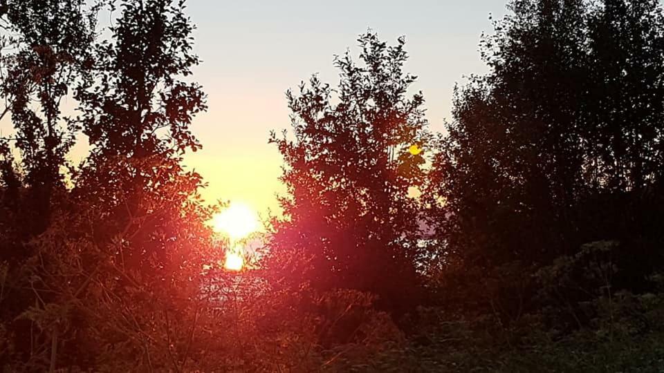 Lyngenfjord,Odins Hus Leilighet Olderdalen Eksteriør bilde